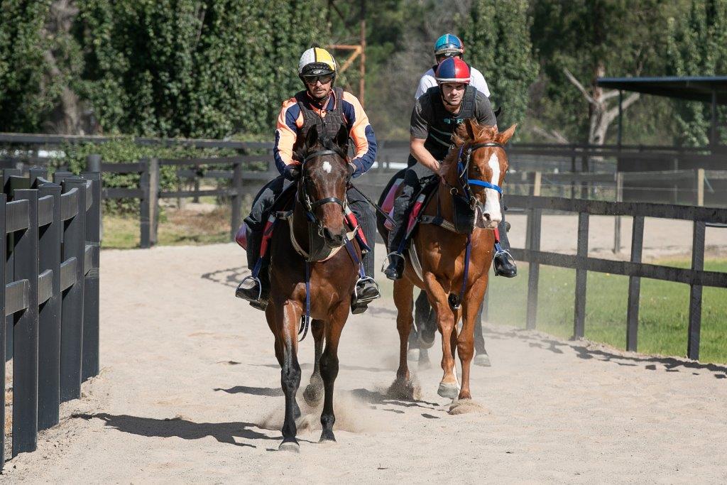 SCISSOR KICK x MISS BAX Colt with The People's Trainer RICHARD FREEDMAN